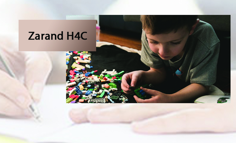 Zarand quasi-family center