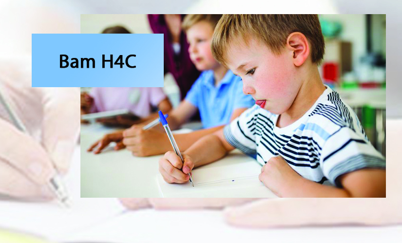 Bam Quasi-Family Center