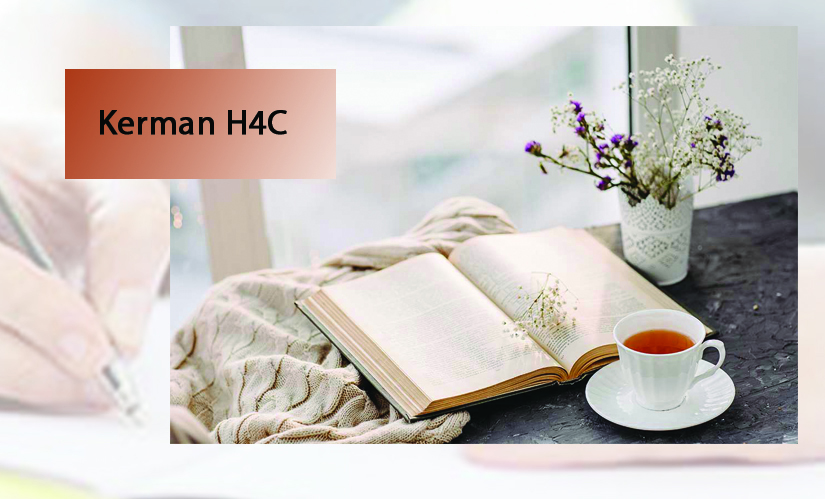 Kerman Quasi-Family Center